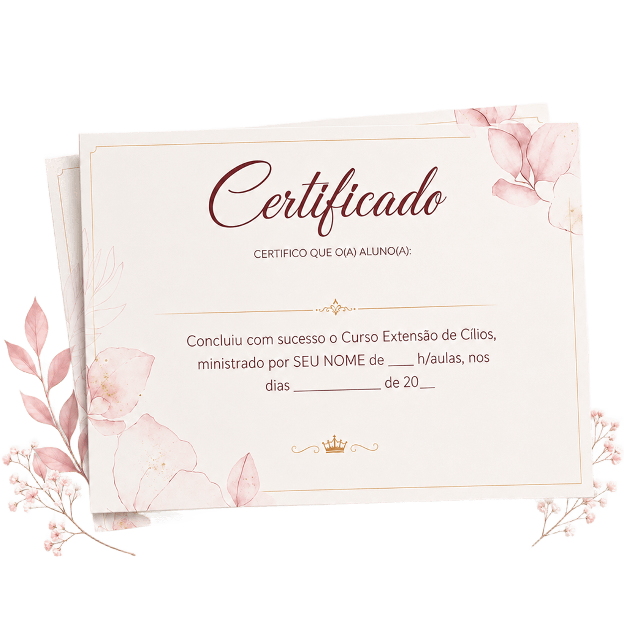 Certificado de conclusão